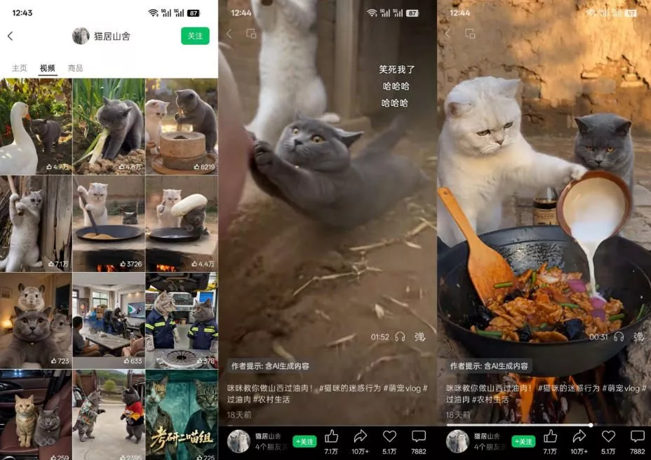 猫咪慢生活短视频教学，AI搞笑萌宠赛道，视频号分成+精选独家+伙伴计划+商单收徒等多种变现方式-2爱1学习资源网-伴学无忧