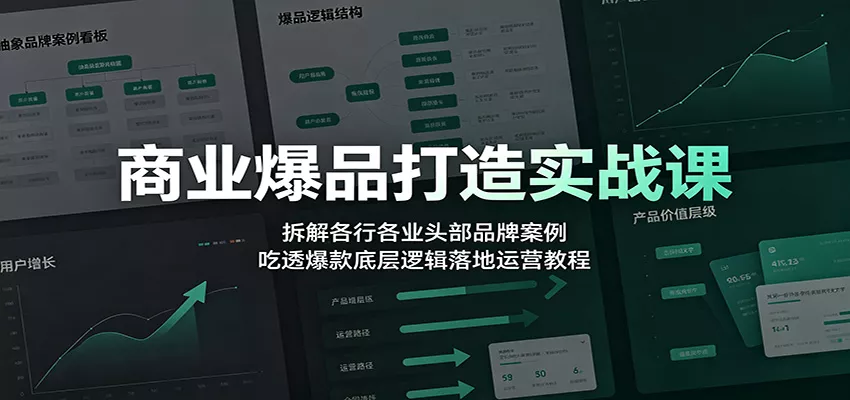 商业爆品打造实战课:拆解各行各业头部品牌案例,吃透爆款底层逻辑落地运营教程-2爱1学习资源网-伴学无忧