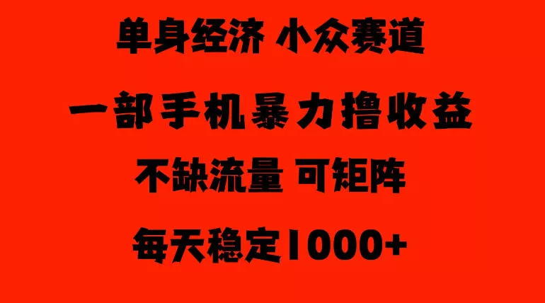 26年暴力单身经济，稳定日入500-1k，不缺流量，流量极大，冷门小众赛道，门槛低小白轻松上手【揭秘】-2爱1学习资源网-伴学无忧