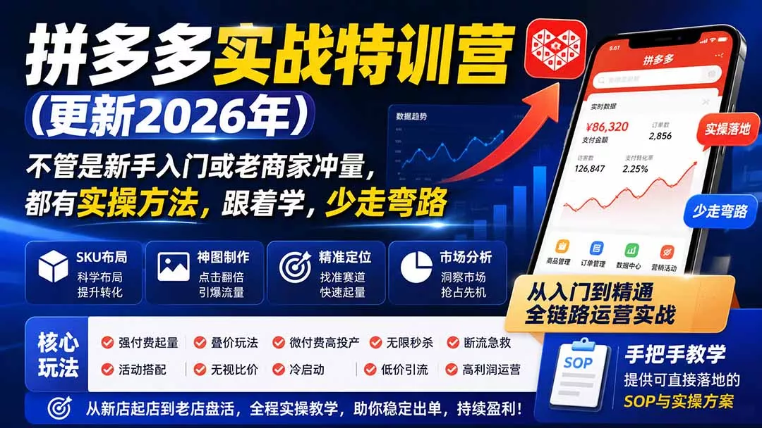 拼多多实战特训营(更新26年0827 拼多多实战特训营(更新26年0827