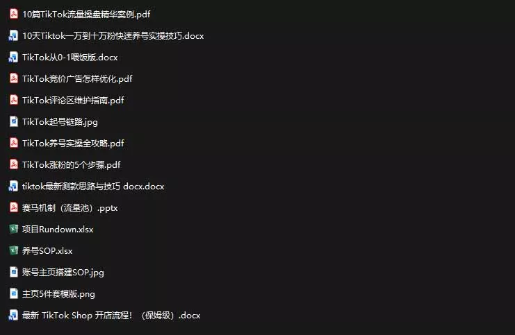 2026TikTok海外掘金实战课——养号SOP+爆款公式+选品测款+广告投流+Shop开店，跑通海外运营全链路-2爱1学习资源网-伴学无忧