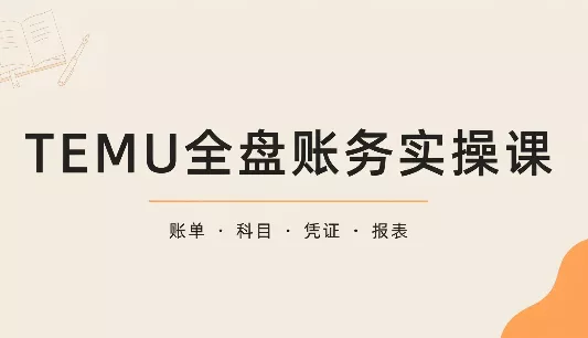 TEMU全盘账务实操课：账单导出、科目设置、利润核算