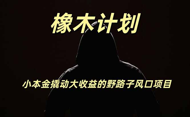 橡木计划,小投入撬动高回报的风口野路子项目,一天投入2小时左右 橡木计划,小投入撬动高回报的风口野路子项目,一天投入2小时左右
