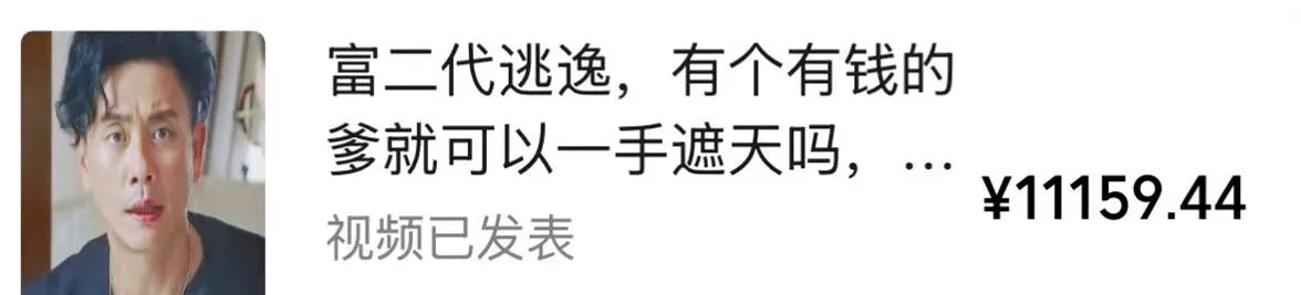 视频号某大佬的影视搬运教学,纯手法操作,可以多个平台可以发布,撸分成计划+伙伴计划+光合计划收益等-2爱1学习资源网-伴学无忧